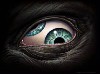 Sgt_Ox's Avatar