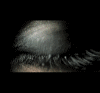 Udrivecrap's Avatar