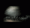 Udrivecrap's Avatar